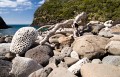 Lord Howe Island_20061209_173